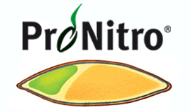 ProNitro® N-coating gives grass seed a head start